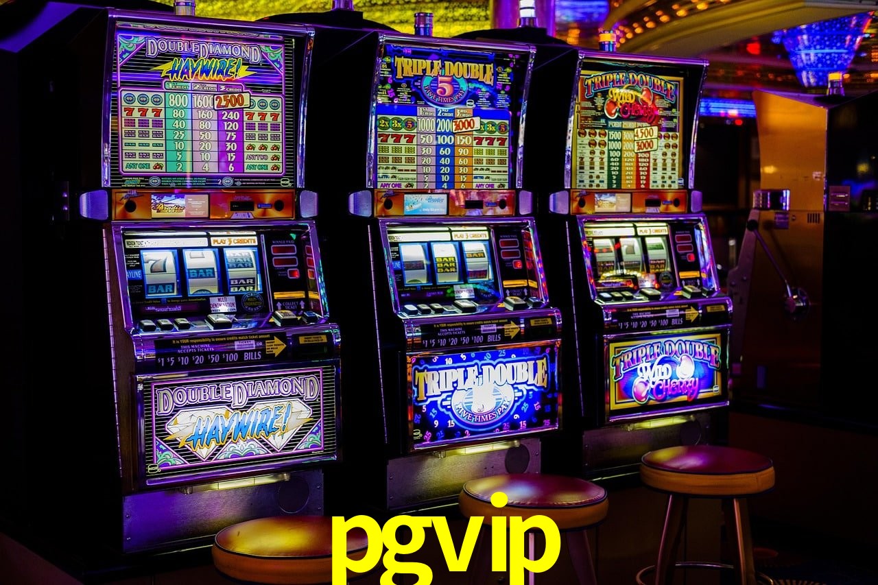 Experiência VIP pgvip